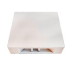 Aradela Artena White 2 Fachos